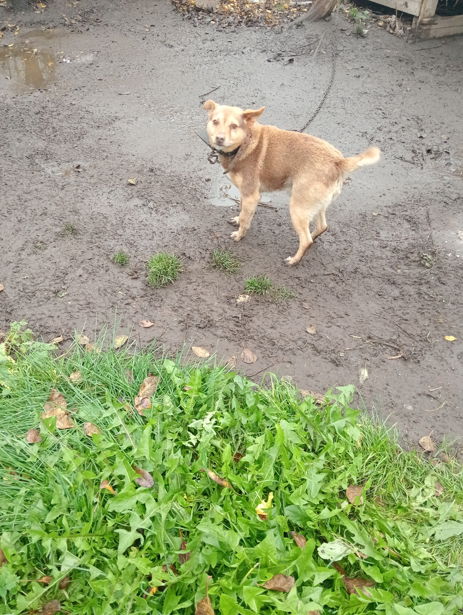 А кто работает, тому никаких ковриков!