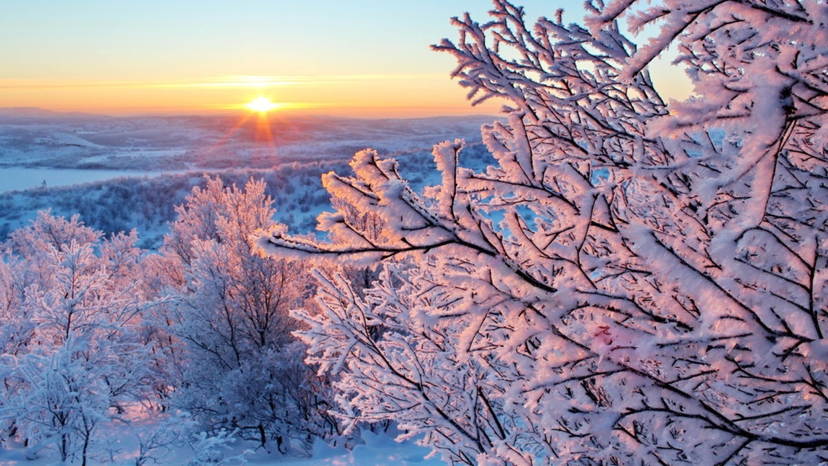 Картинка найдена на просторах интернета, ссылка https://yandex.ru/images/search?from=tabbar&img_url=https%3A%2Fi%2F.pinimg.com%2Foriginals%2Fa8%2F34%2Fа3f%2Fa83р43f81с279b5e7bd532374cf0591a19.jpg&lr=47&pos=15&rpt=simage&text=%D1%86%D0%B2%D0%B5%D1%82%D1%8B%20%D0%BA%D1%80%D1%83%D0%BF%D0%BD%D0%BE%20%D1%84%D0%BE%D1%82%D0%BE