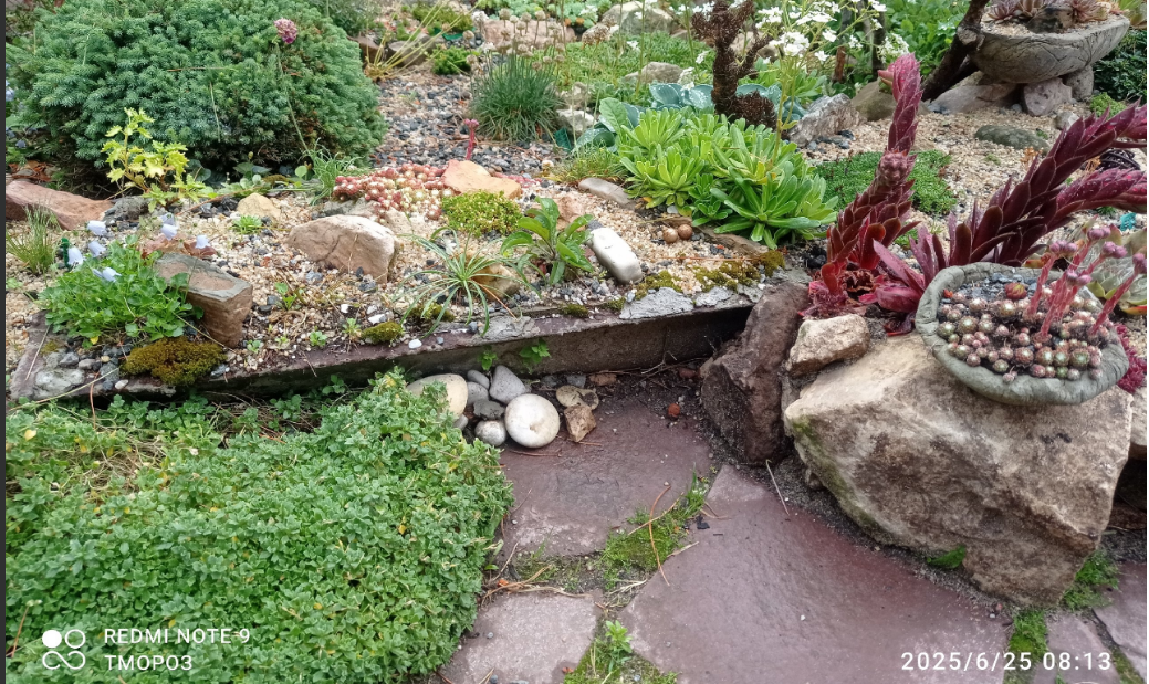 тот же край, в другую сторону