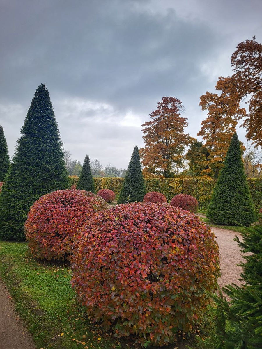 Фото от Анны