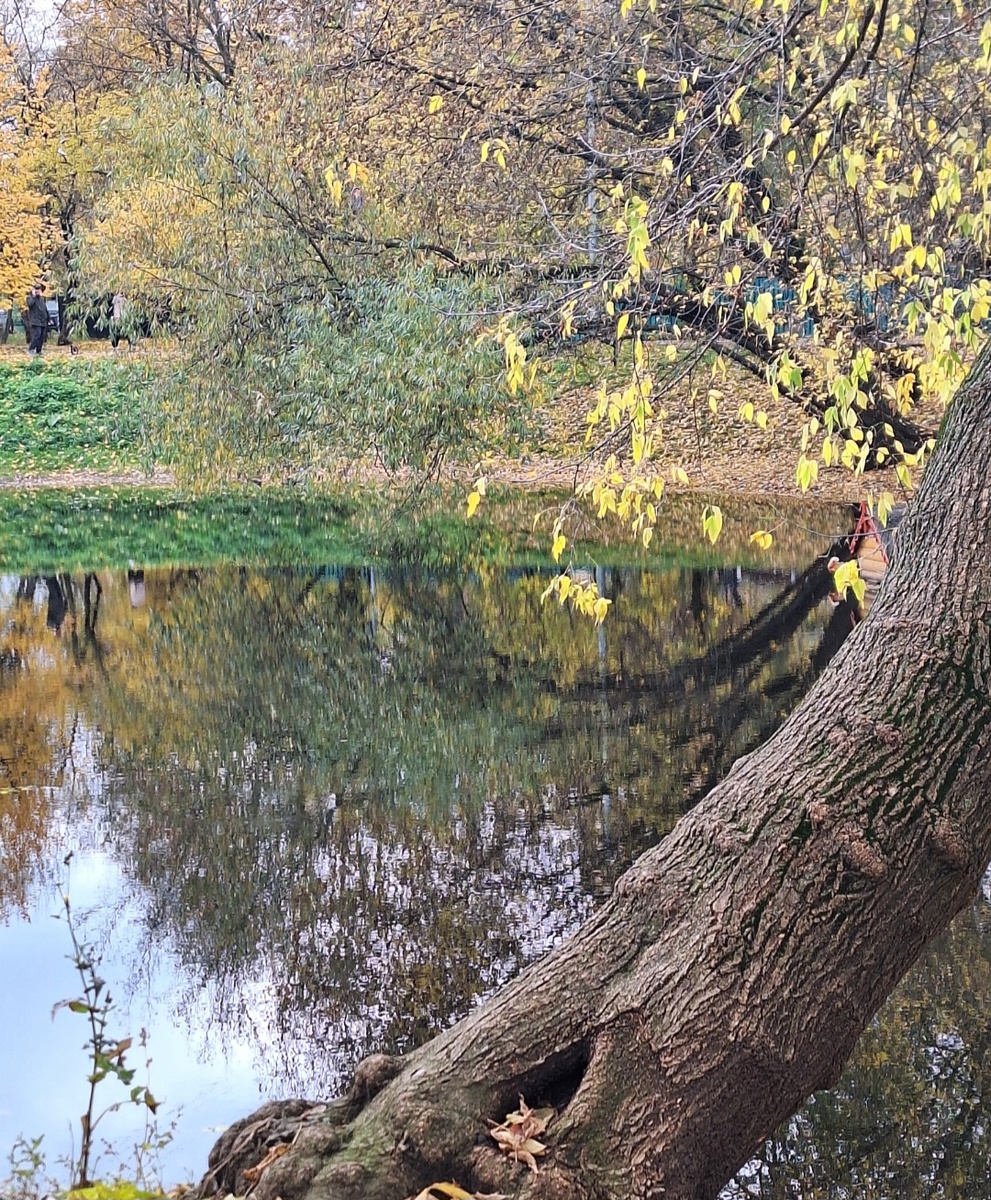 Где-то в Москве. Фото - собственность автора канала "ТАК НАДО".