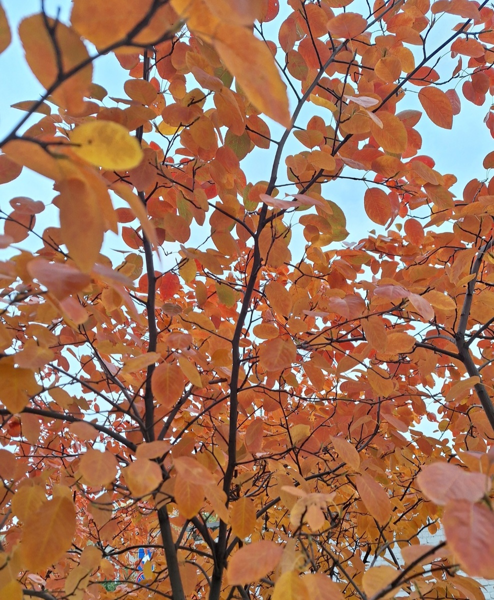 Где-то в Москве. Фото - собственность автора канала "ТАК НАДО".