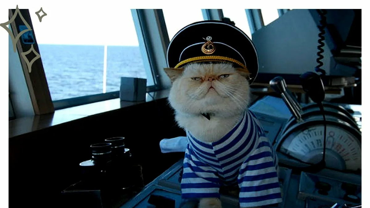 Фото из Яндекса. Спасибо автору.