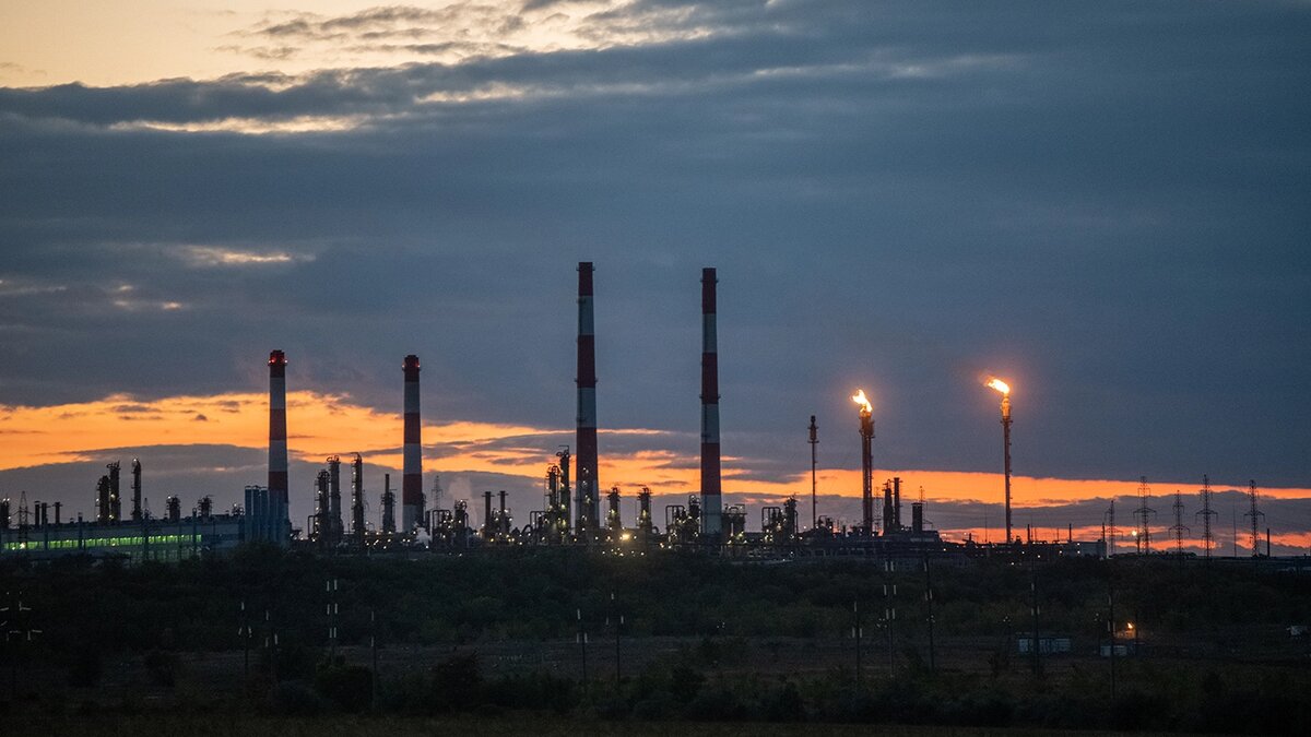   Александр Манзюк / ТАСС- Архивное фото