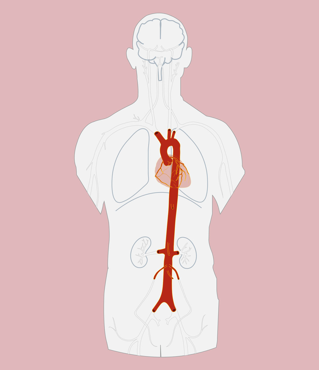 Edoarado / Wikipedia