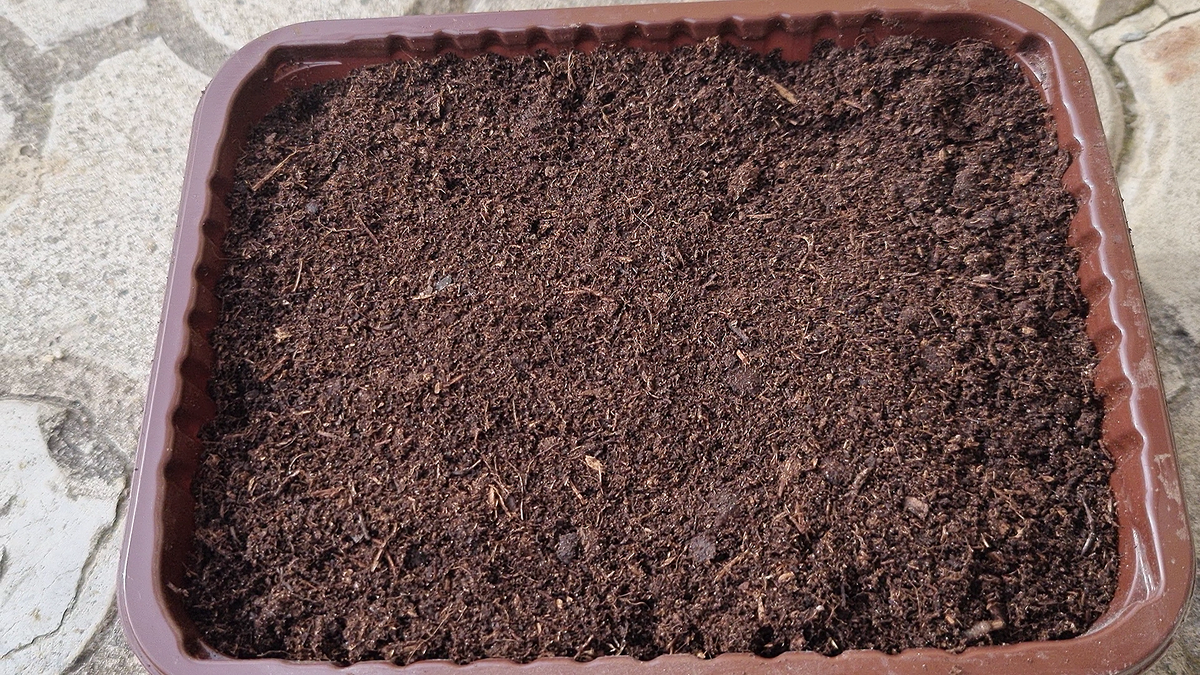 Удобный и быстрый способ обработки почвы: Как обеззаразить грунт для рассады в микроволновке?! Фото автора