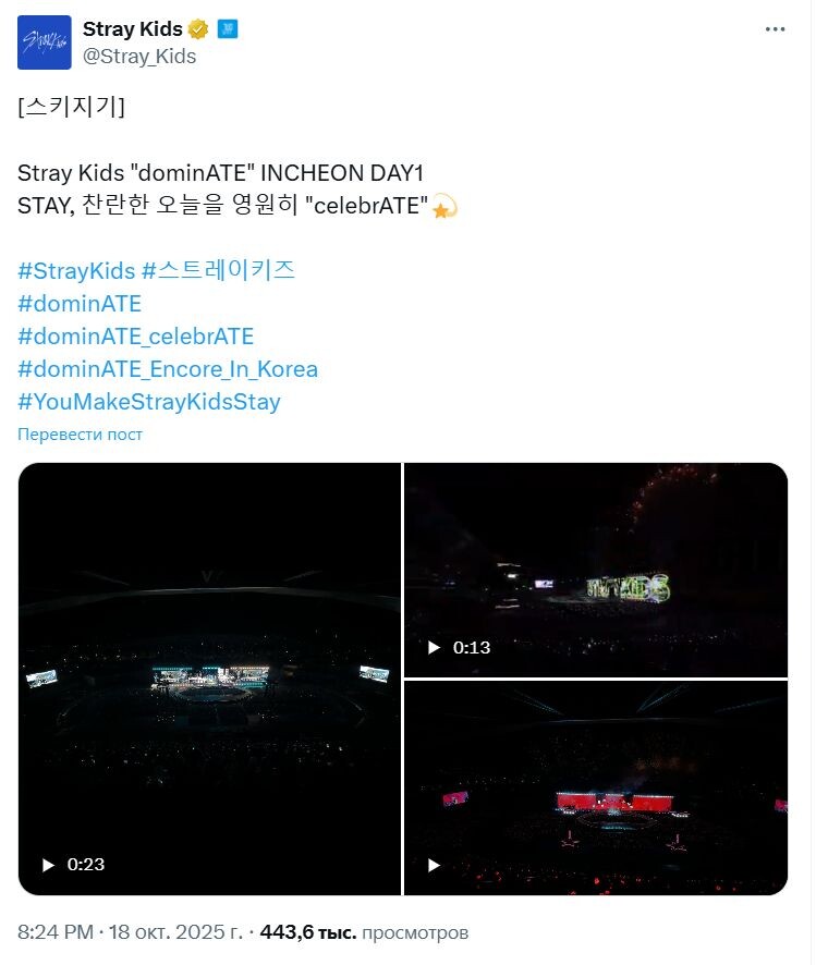    Stray Kids завершают масштабное мировое турне
