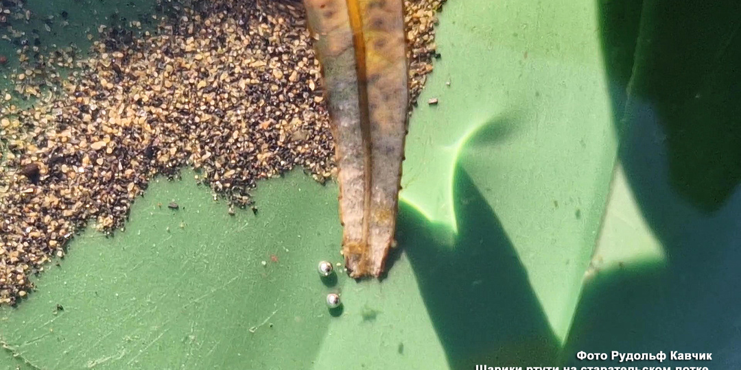 Мы находили золото и платину в каждой реке. День 3. Продолжение