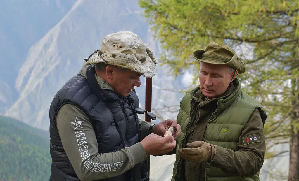 картинка яндекс