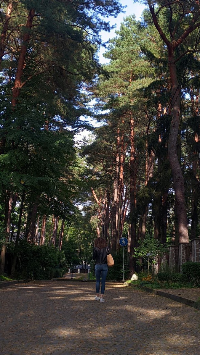 Светлогорск