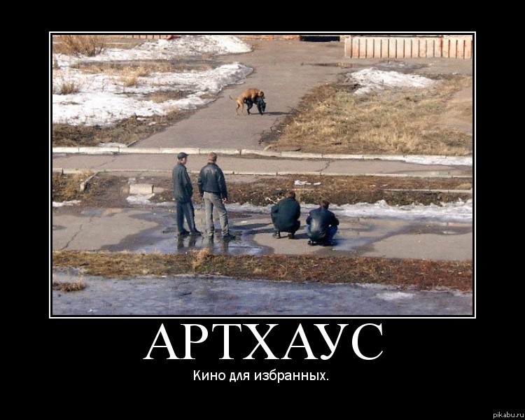 Типичный артхаус 