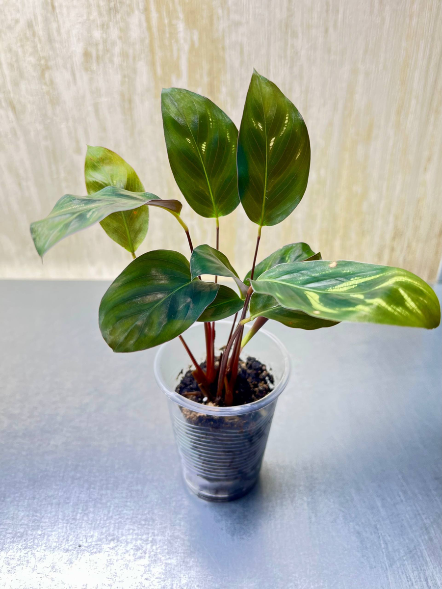 Мой ребенок