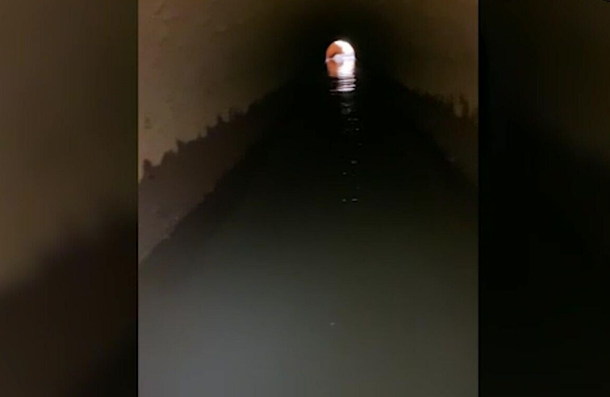    Фото: скриншот из видео, источник: ВГТРК