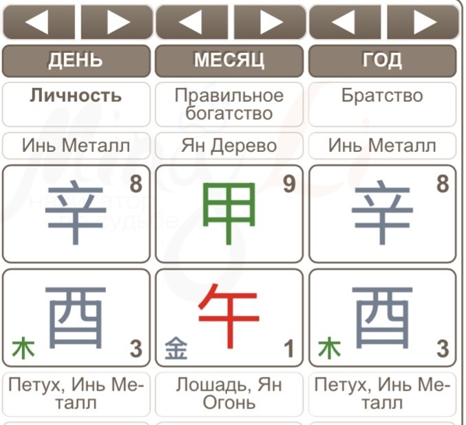 Выглядит это вот таким образом, столп дня и столп года представлен одинаковым набором иероглифов 辛酉