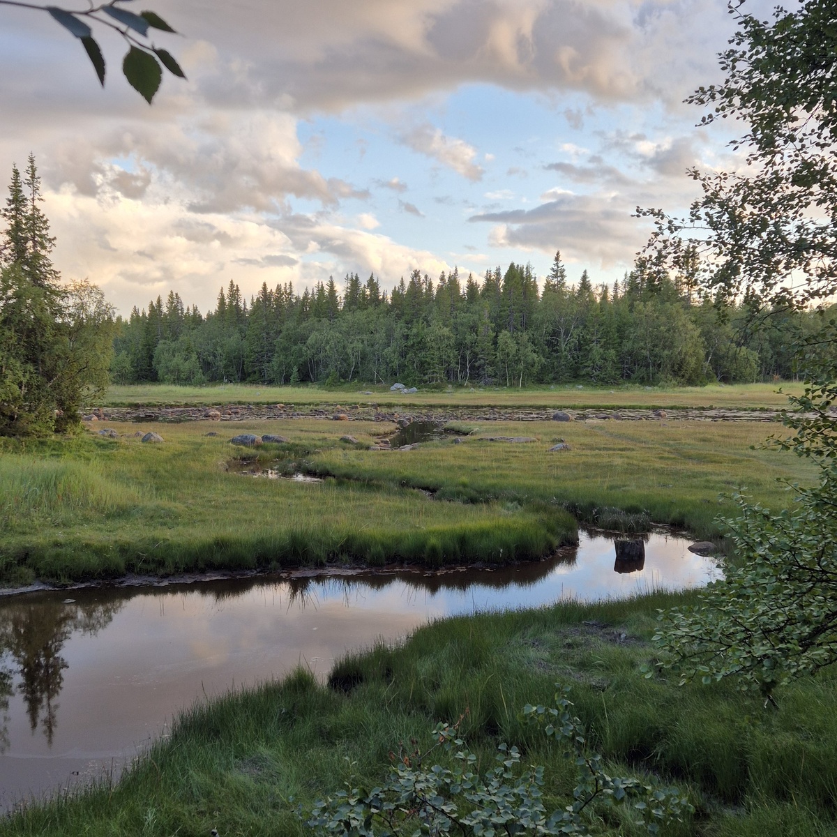 Дорога на юг