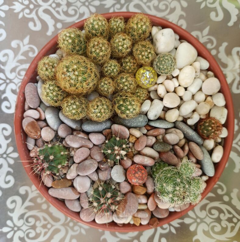 Баланс должен быть во всем