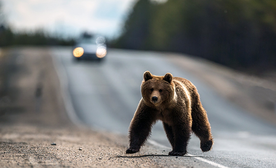    © Илья Тимин/РИА Новости