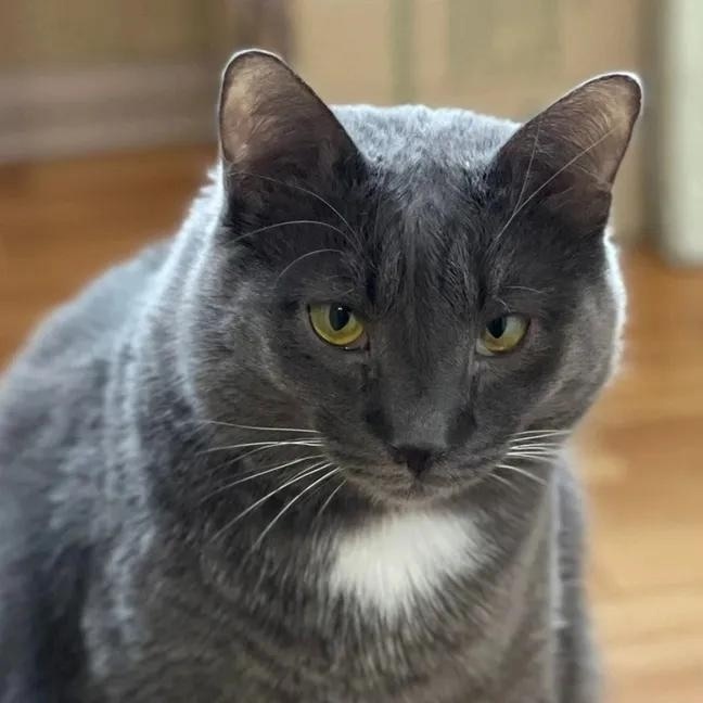 иллюстрация из яндекс картинки.