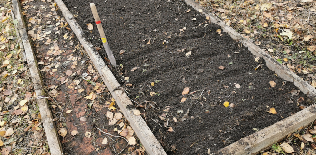 Главное правило подзимнего посева в ноябре