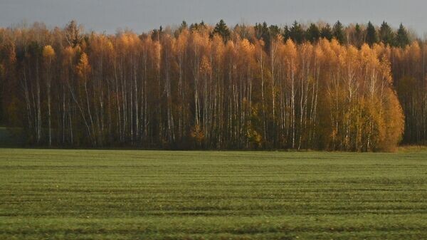    © Sputnik / Виктор Толочко