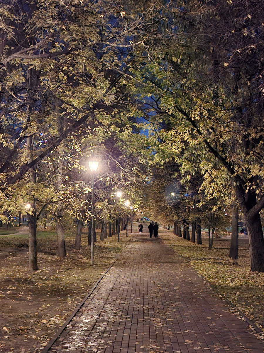 Волшебное царство осеннего парка
