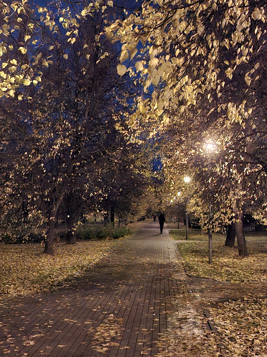 Вдалеке виднеются силуэты людей