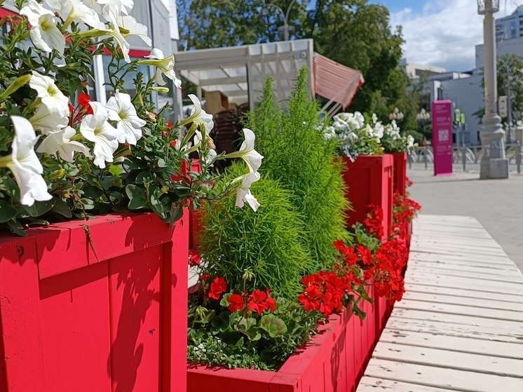     Фото: Николай Курилов / МК-Урал