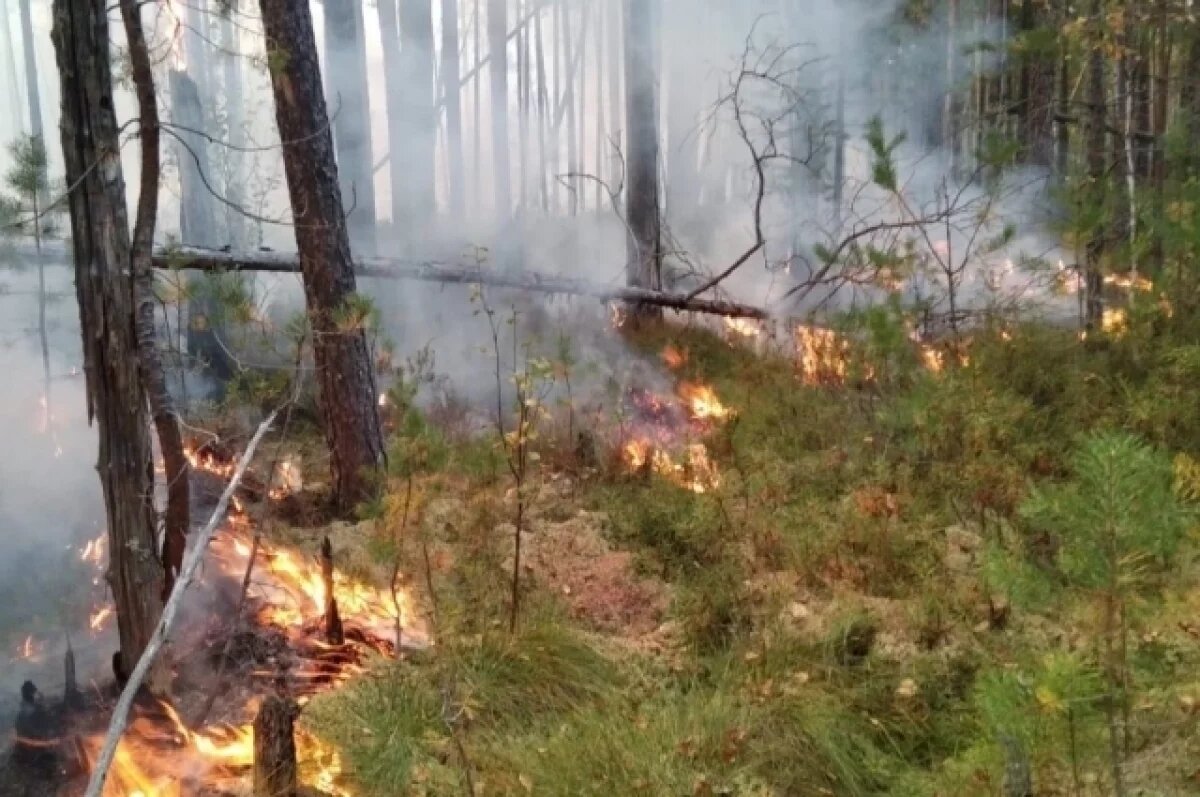    В Удмуртии завершился пожароопасный период в лесах