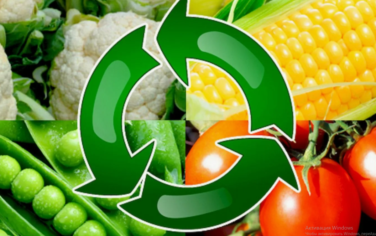 севооборот