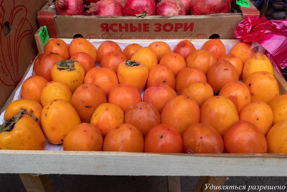 Ясная такая