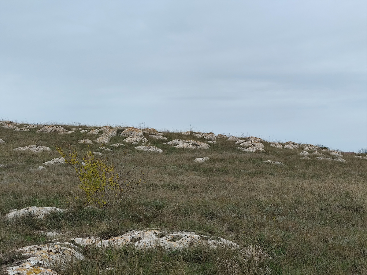 Вся горка в камнях, очень неземной пейзаж...