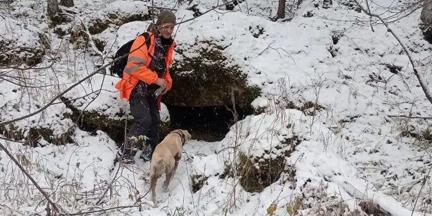    Поиски семьи Усольцевыхтг-канал "Лиза Алерт