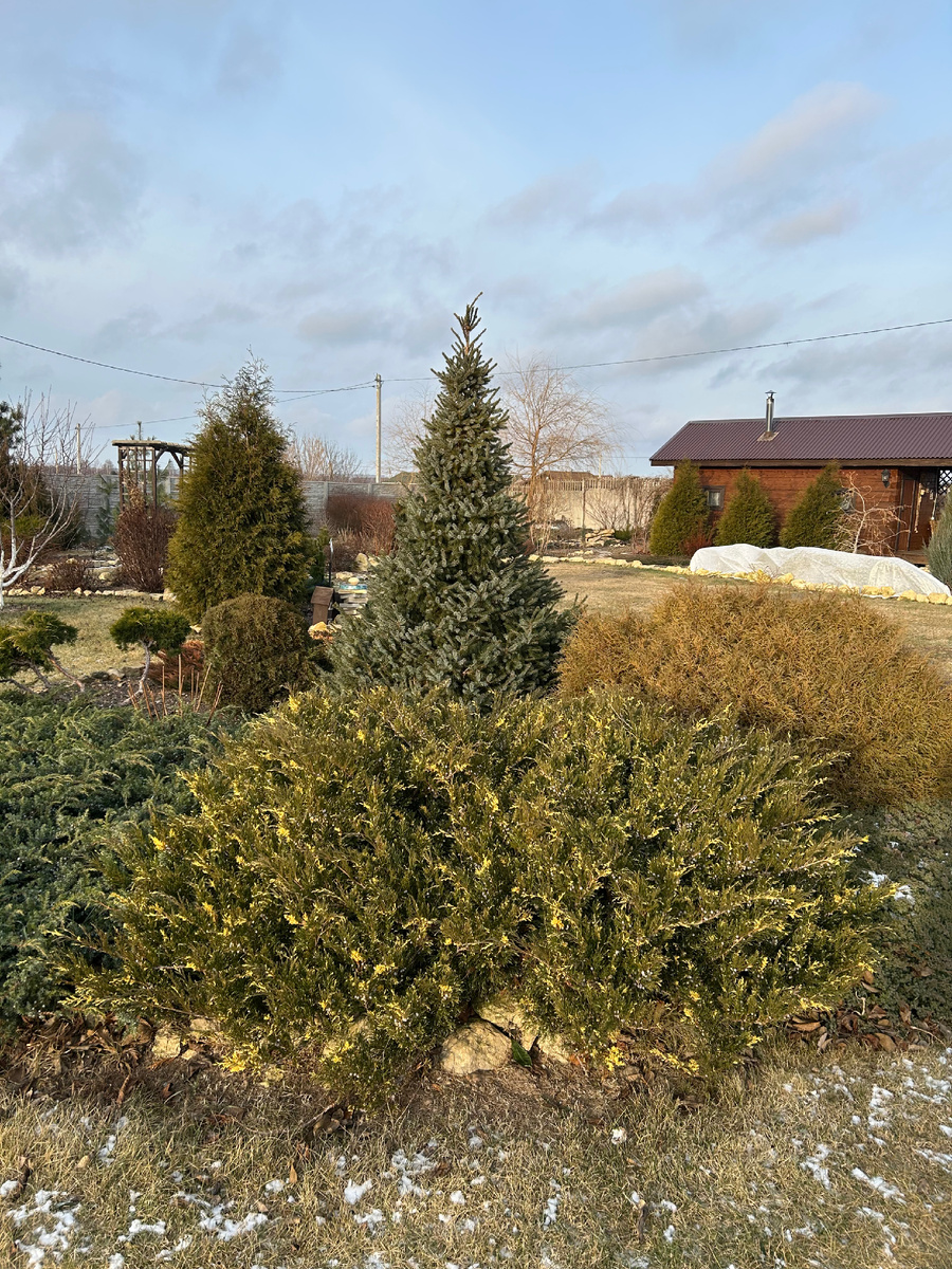 50 оттенков зеленого. Фото Мой второй сад