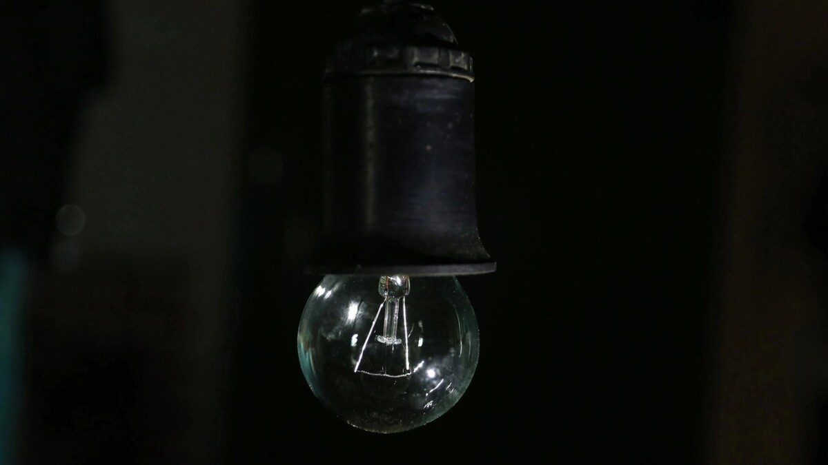    Фото: Oleksandr_U/Shutterstock/Fotodom