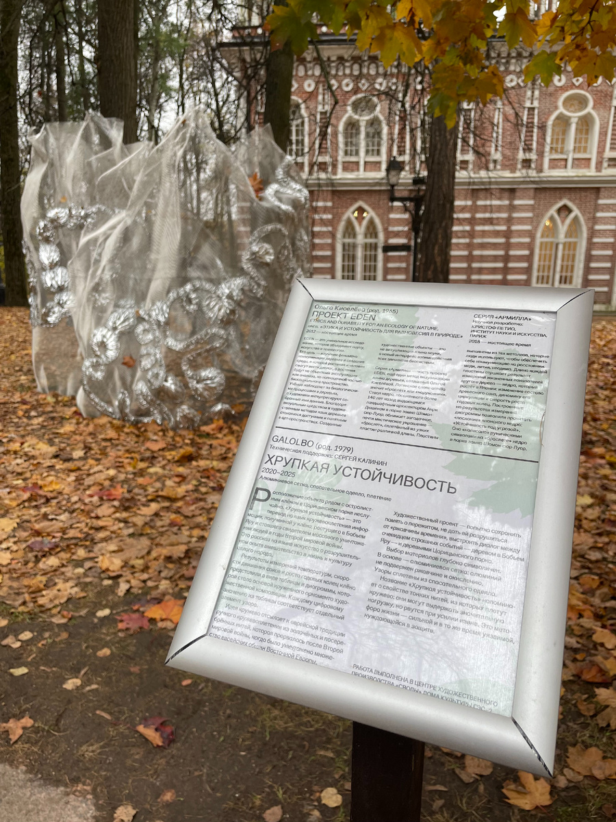 Хрупкая устойчивость