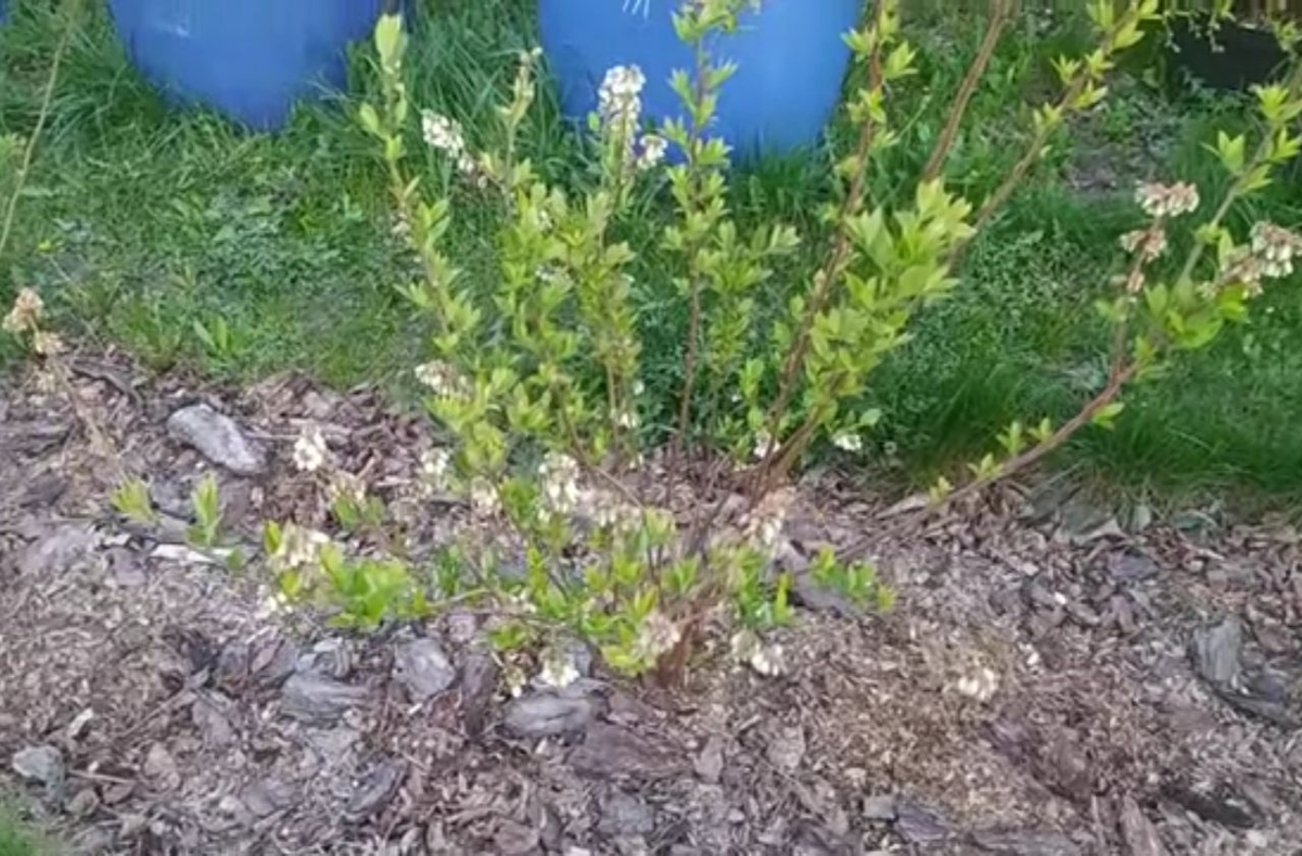 Гролубикм Река