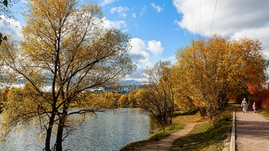    Фото: Roman Denisov/Globallookpress