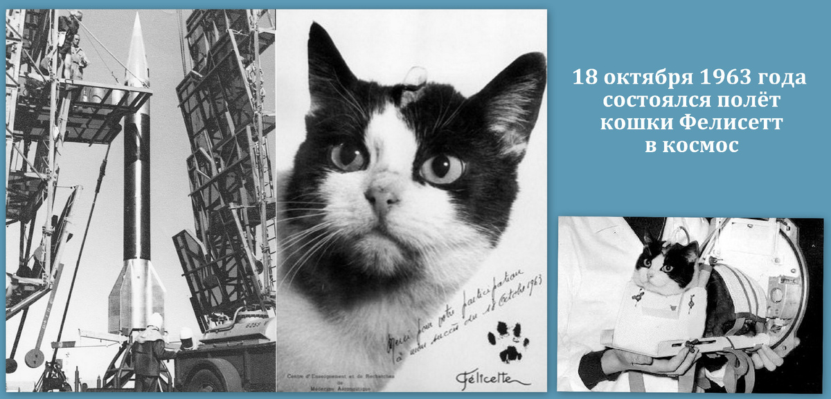 Коллаж автора