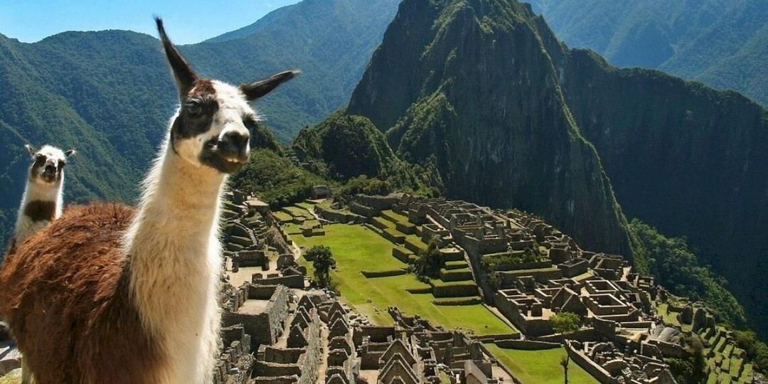 Почемучки потихоньку вымирают, или Нужно ли детям знать такой предмет, как география?