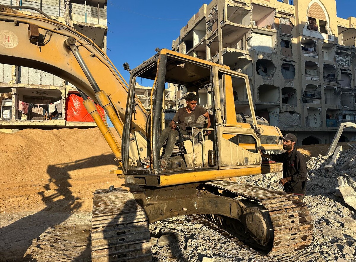     / Источник: © Global Look Press