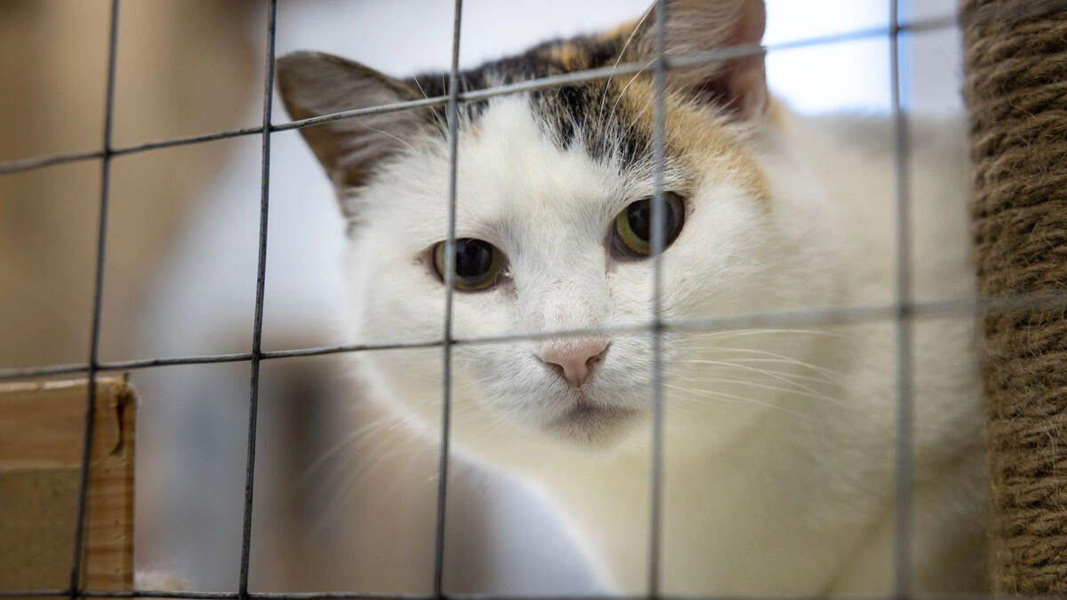    Фото: Федор Воронов / «Ямал-Медиа»