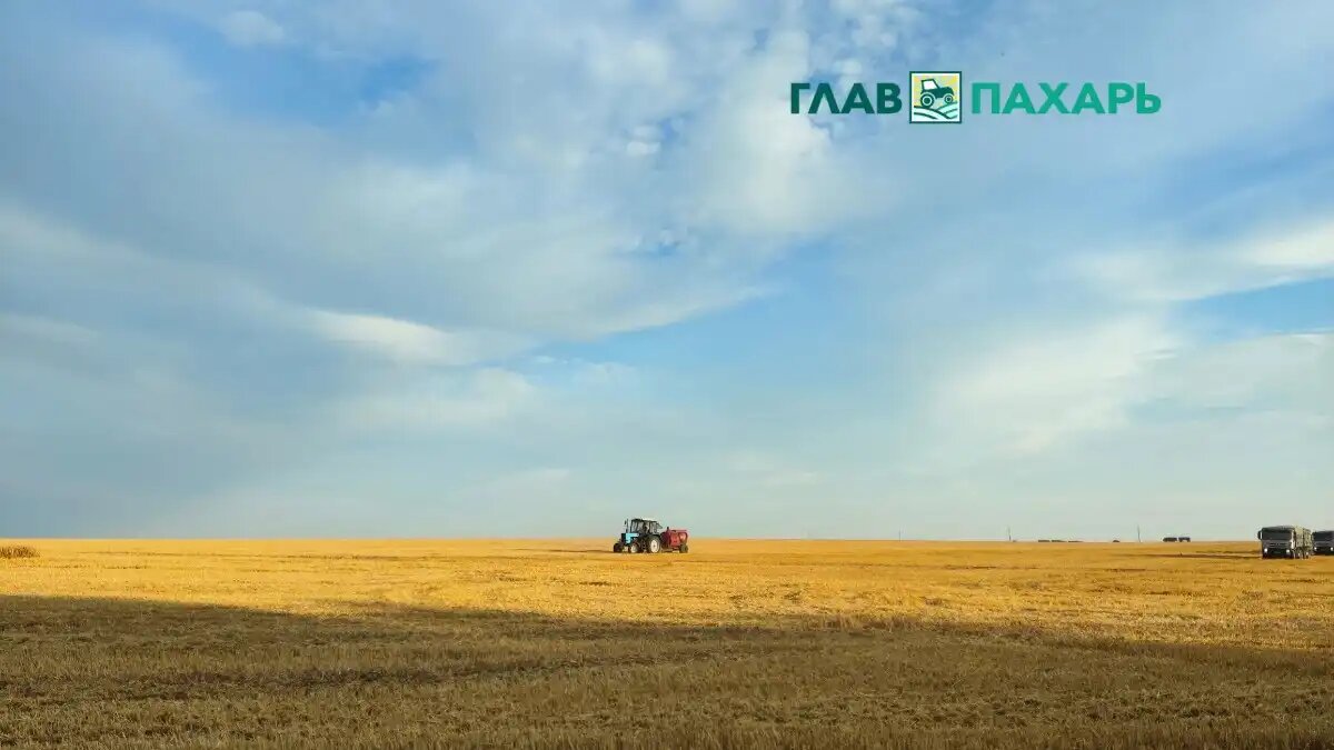 Фото: © Артем Борисов / Glavpahar.ru
Фотография носит иллюстративный характер