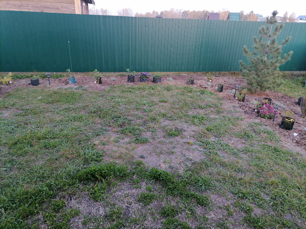 Будущее костровое место.. Вокруг - гортензии, пока в защитных корзинках.