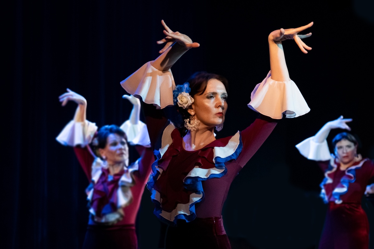 Фотографии с концертов Costa del Flamenco