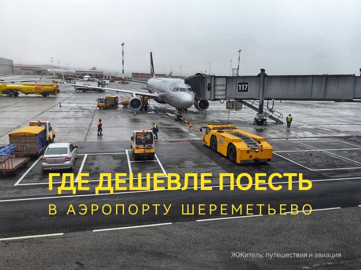 Где дешевле поесть в аэропорту Шереметьево