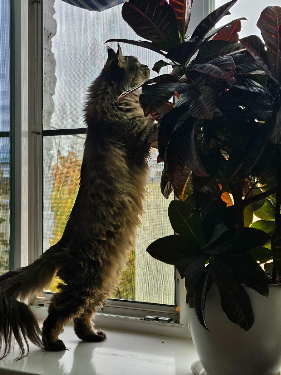 Автор фото Л.Баева