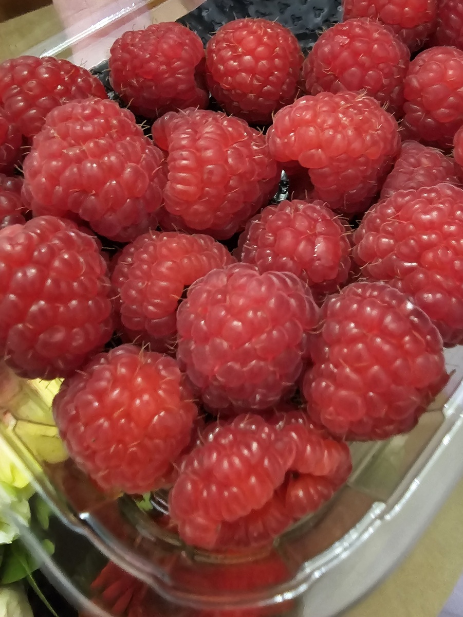 Автор фото Л.Баева