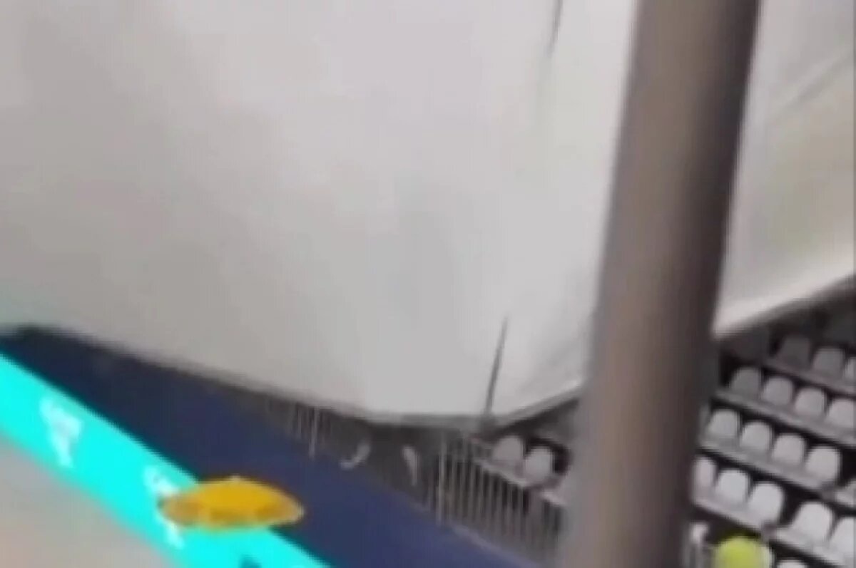    В Бразилии во время матча по теннису шквальный ветер обрушил крышу стадиона