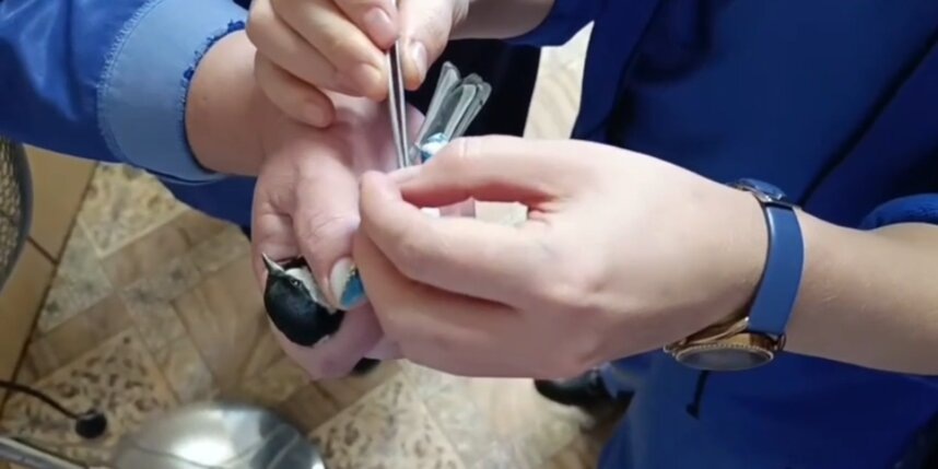    скриншот видео t.me/ssmplo