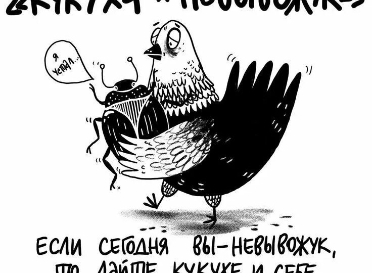 ЧТОБЫ КУКУШЕЧКИ НЕ СЪЕХАЛИ